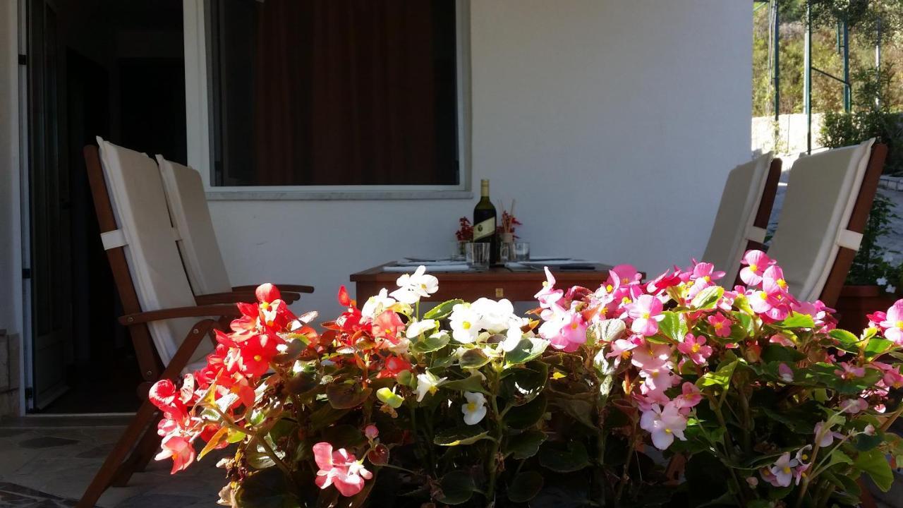 Apartments Zovko Drače Extérieur photo
